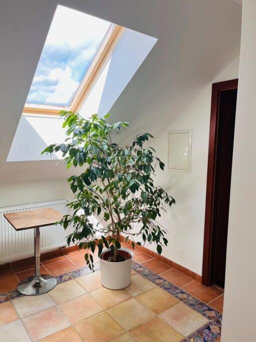 Apartament Se Zahradou 20 Minut Do Centra Prahy